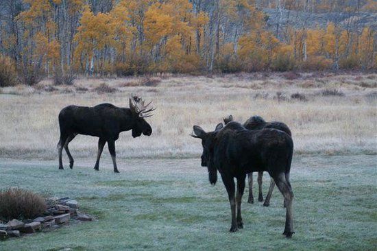 Pioneer Mountain Wilderness Area